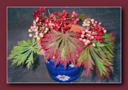 Kliknite za pove�avo slike